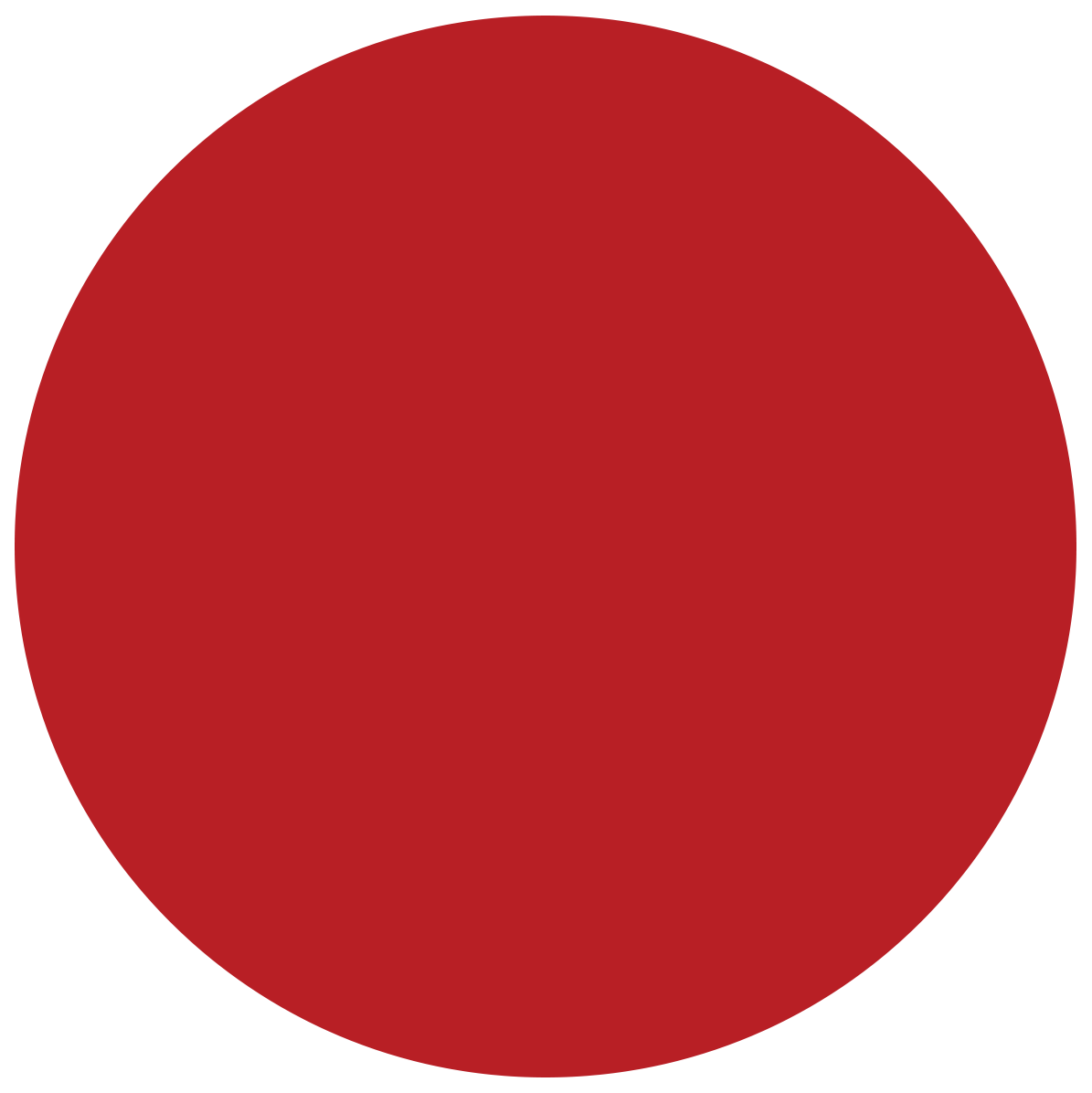 The Chicago Web Co logo